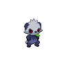 Shadow Pancham
